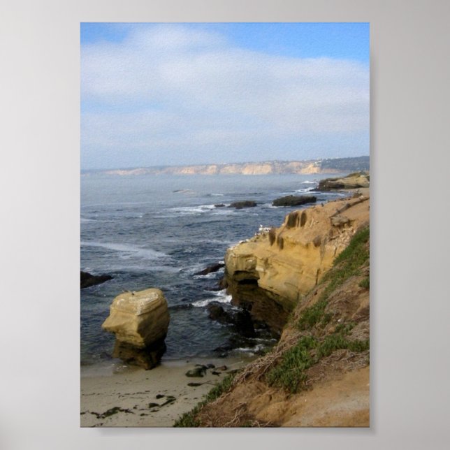 La Jolla Beach Seabirds Custom Poster Art Print (Front)