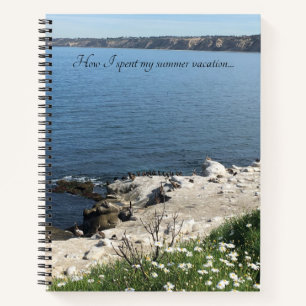 La Jolla, California Notebook