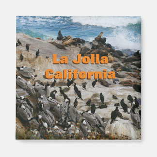 La Jolla Californie Magnet de souvenirs