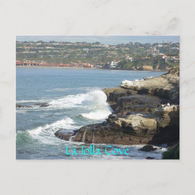 La Jolla Cove Postcard (Front)