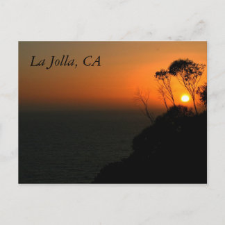 La Jolla Eucalyptus Grove Postcard