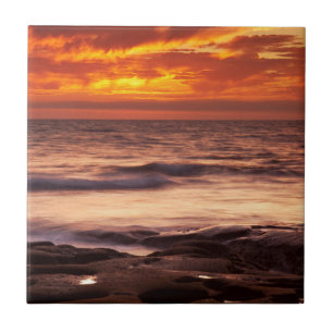 La Jolla Tide Pools Tile