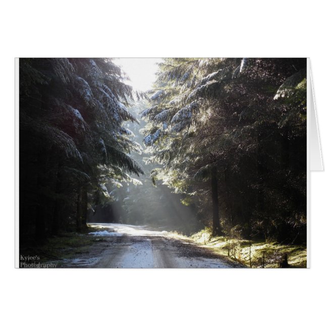 La lumière dans la forêt (Devant horizontal)
