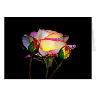 La lumière en dedans