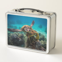 La Lunchbox de Honu