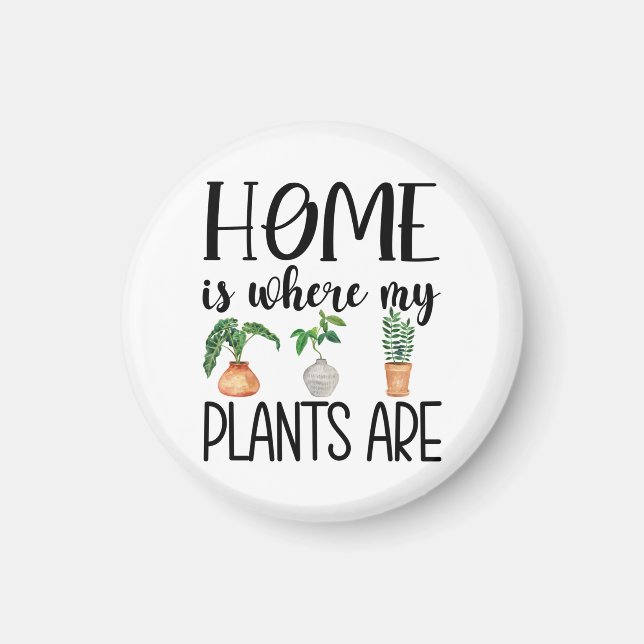La maison où mes Plantes sont aimant (Devant)