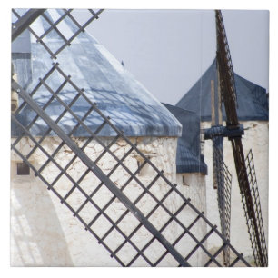 La Mancha, Spain. Don Quixote famously tilted at Tile