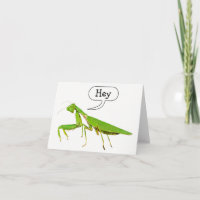 La mante de prière indique hé le carte pour notes