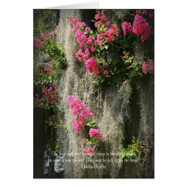 La meilleure et la plus belle chose... (Devant)