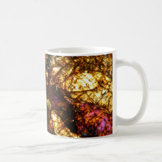 La météorite 1877 de tasse de café de NWA