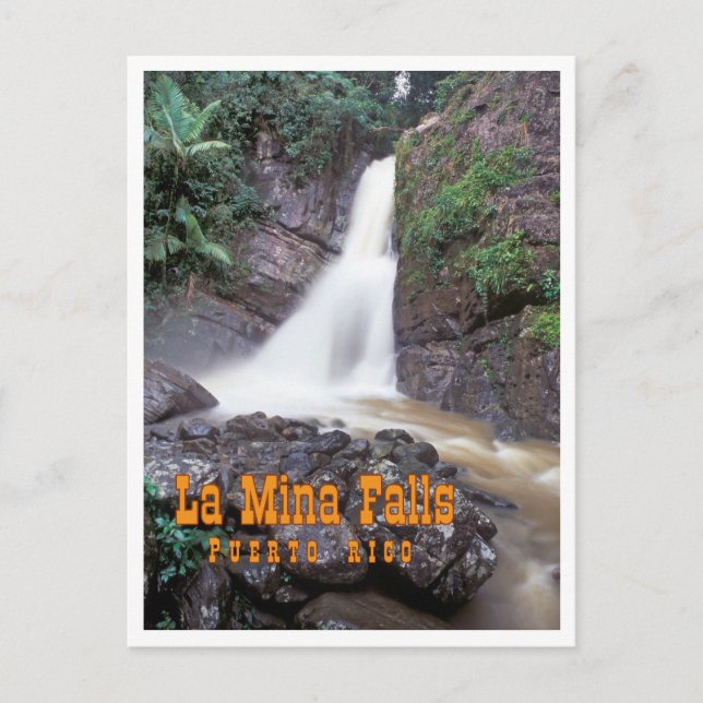 La Mina Falls Postcard (Front)