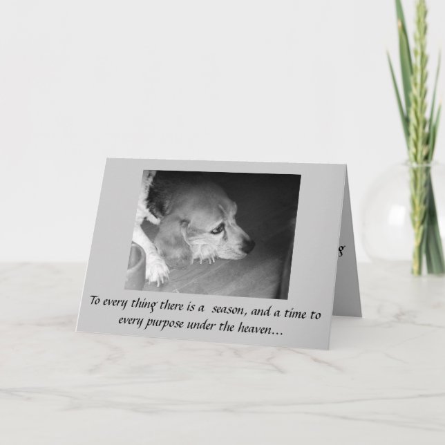 La mort de la carte de sympathie d'animal familier (Devant)