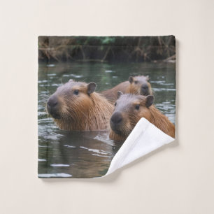 La Nage Des Capybaras Dans La Rivière,