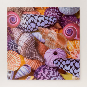 La nature des plages les coquillages du puzzle adu