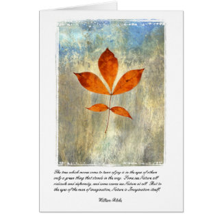 La nature est imagination