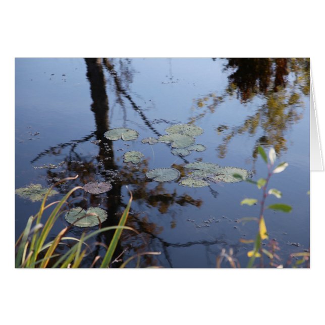 La nature est une langue... (Devant horizontal)