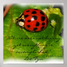 La Nature ne se dépêche pas Poster