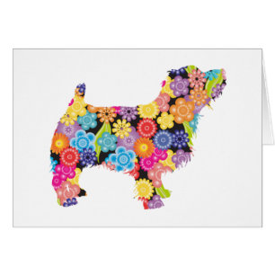 La Norfolk Terrier