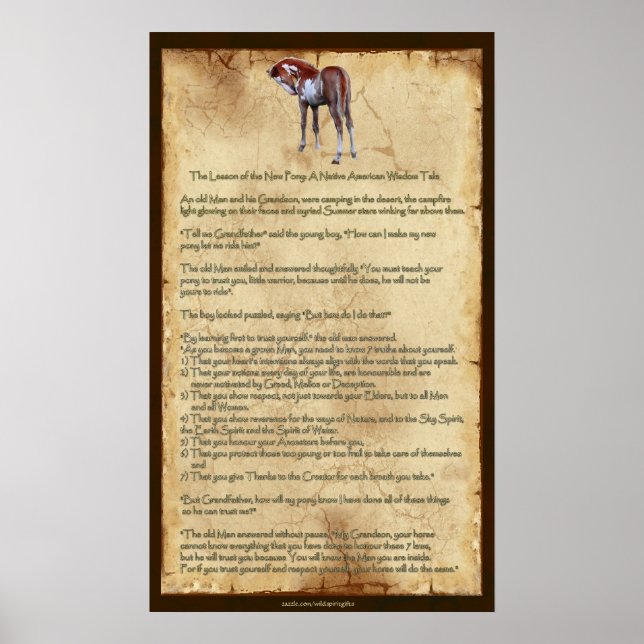 La nouvelle leçon de poney : affiche de la sagesse (Devant)