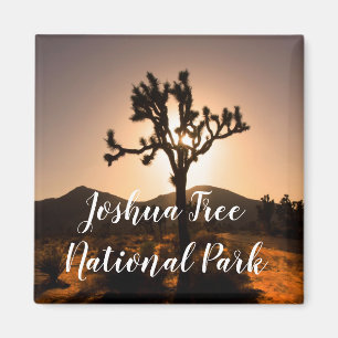La nuit commence à Joshua Tree Magnet