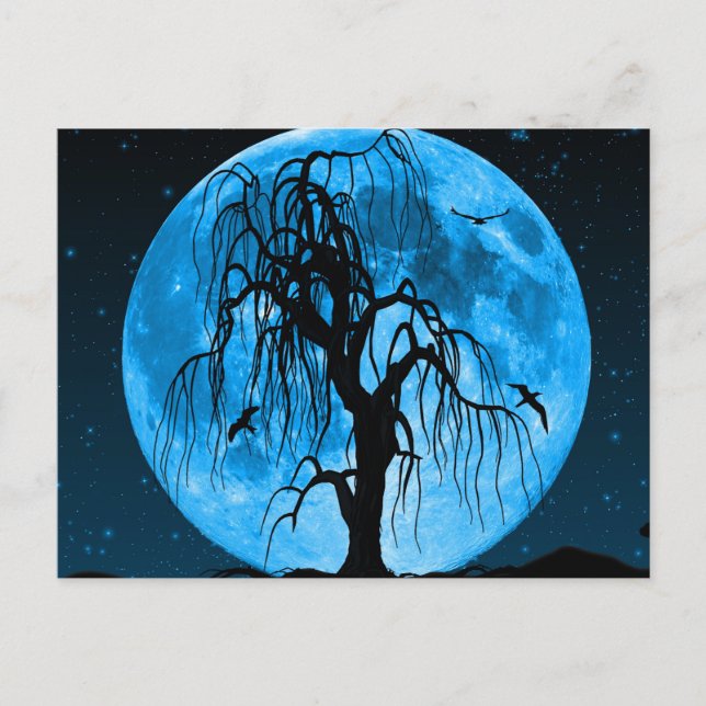 La nuit d'Halloween effrayante avec carte postale  (Devant)