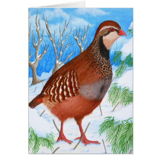 La perdrix à pieds rouges