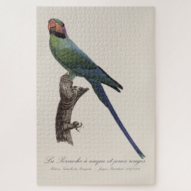 La Perruche a nuque et joues rouges  Jigsaw Puzzle (Vertical)