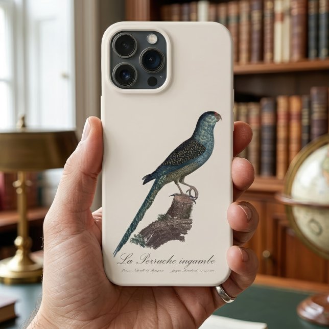La Perruche ingambe  Case-Mate iPhone Case (Ground Parrot or Swamp Parrot, Pezoporus Wallicus. iPhone Case)