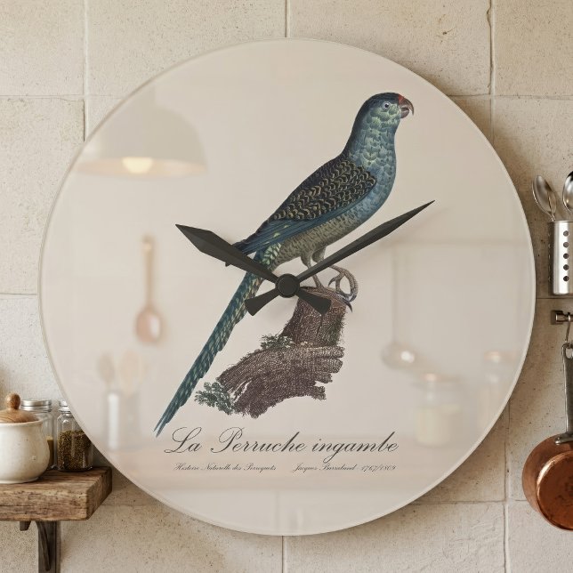 La Perruche ingambe  Large Clock (Ground Parrot or Swamp Parrot, Pezoporus Wallicus. Large Clock)
