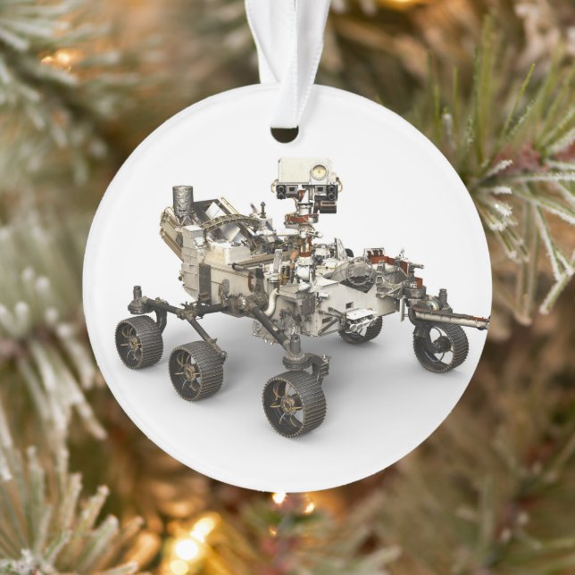 La Persévérance Mars Rover Sur Arrière - plan Blan (Arbre)