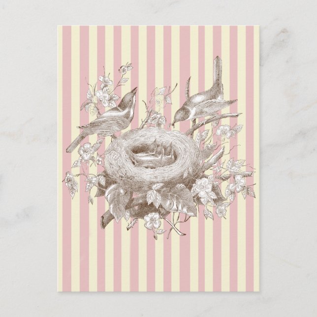 La Petite Famille on pink and cream background Postcard (Front)