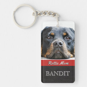 La photo d'animal familier a personnalisé le chien