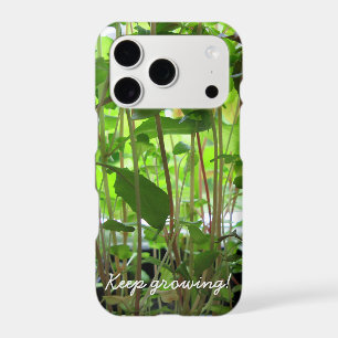 La photo de jeunes plantes de jardinier continuent