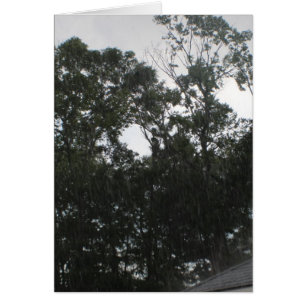 La pluie de pluie partent