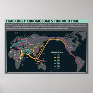 La première affiche de migration