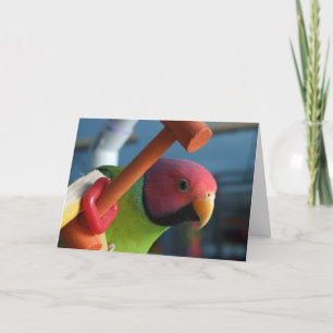 La prune a dirigé la carte de voeux de perruche
