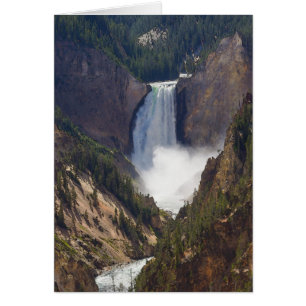 La puissance de Yellowstone