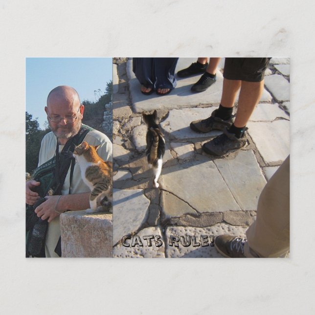 La règle du chat dans la carte postale Ephesus (Devant)