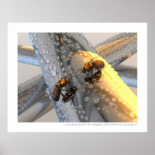 La rencontre - The meeting (golden version) Poster