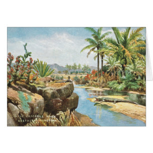 La rivière Crocodile, Afrique du Sud