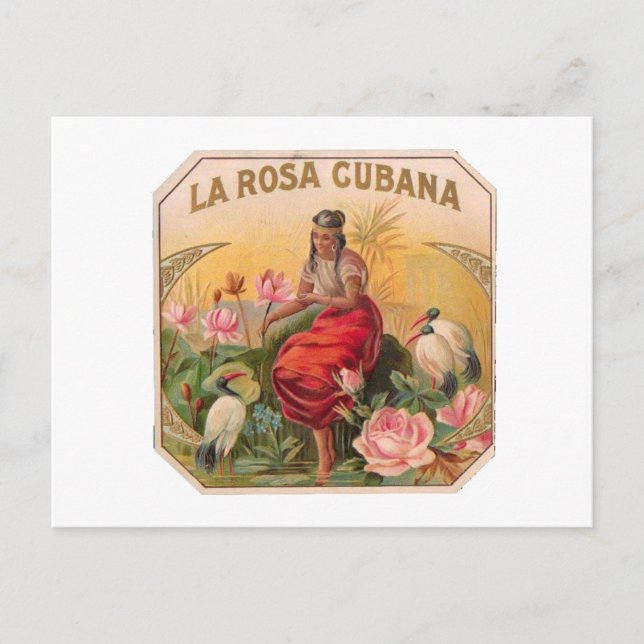 La Rosa Cubana Diseño Vintage Cuba Postcard (Front)