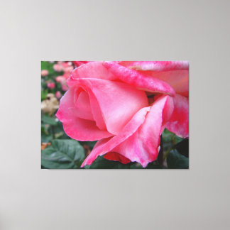 La Rose Hybride Barbara Bush Sur Toile