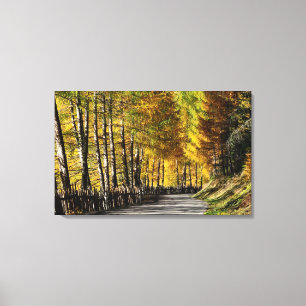 La route vers l'automne imprimé toile