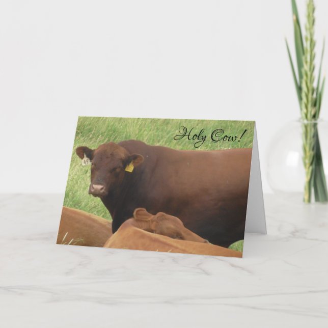 La Sainte Vache C'est ta carte d'anniversaire (Devant)