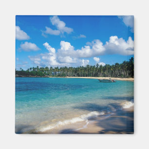 La Samana Peninsula, Dominican Republic, 2 Magnet