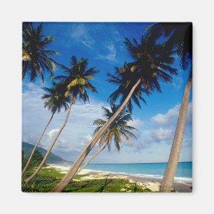 La Samana Peninsula, Dominican Republic, Magnet