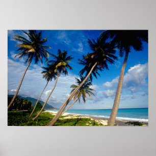 La Samana Peninsula, Dominican Republic, Poster