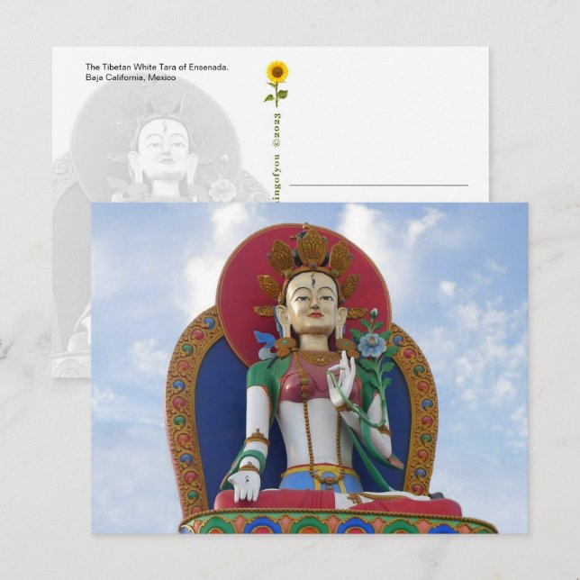 La Tara blanche tibétaine d'Ensenada - carte posta (Devant / Derrière)