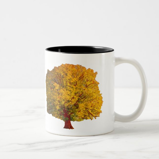La tasse d'arbre de recherche (Droit)