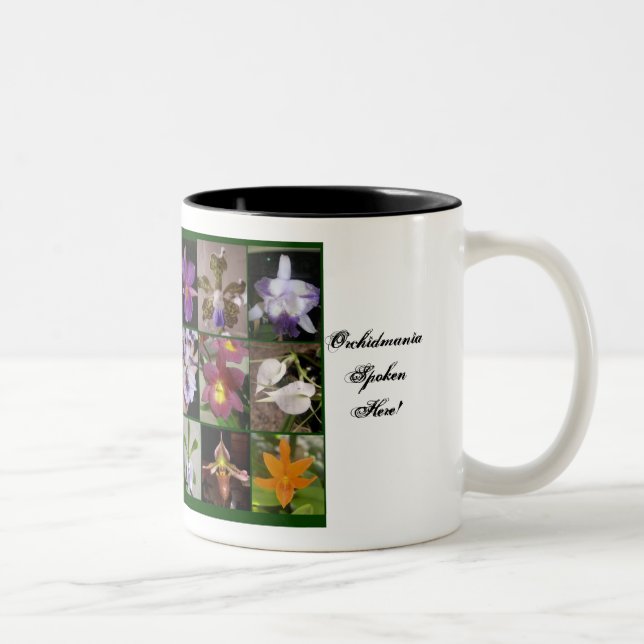 La tasse de l'amant d'orchidée (Droit)